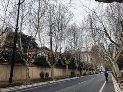 -橼舍鮨青木