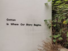 -COTTON CAFE(德信·中外公寓店)