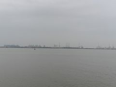-大湾区中央湿地公园
