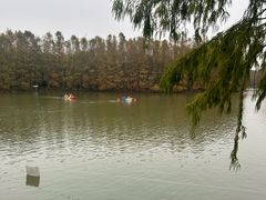 -上海海湾国家森林公园