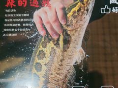 -金三可市井水煮鱼(金碧园店)