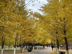 -长白岛森林公园