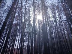 -采石矶景区