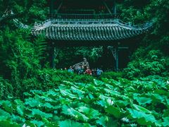 -三苏祠