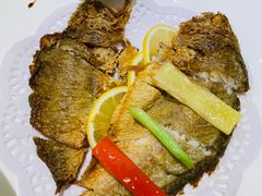 -骏莱海鲜鱼港(五角场店)