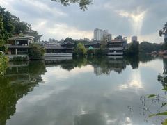 -荔湾湖公园