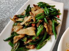 回锅肉-陈麻婆豆腐总店