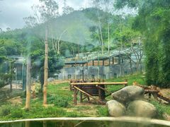 -泉州海丝野生动物世界