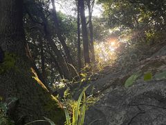 -广州市白云山风景名胜区