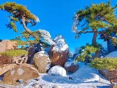 -罗红摄影艺术馆