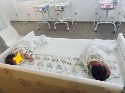 -海豚湾高端月子会所(黄浦店)