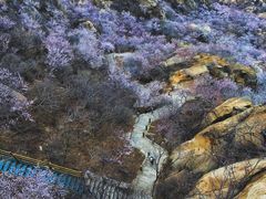 -北京凤凰岭