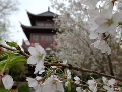 -堤角公园