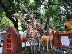 -晓港公园