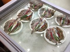 -兴旺阁(温岭钟楼店)