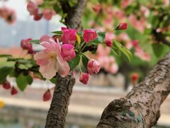 -元大都城垣遗址公园