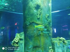 -福州罗源湾海洋世界旅游区