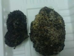 左叶氏又老游-叶氏麻糍(鼓浪屿店)