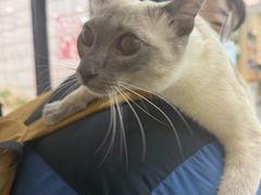 -瑞派蒂凯宠物医院·免疫点·宠保定点