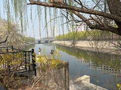 -桃花堤公园