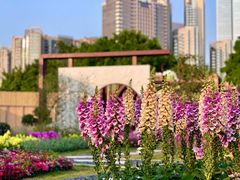 -海心沙亚运公园