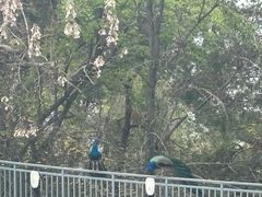 -杭州千岛湖开元度假村