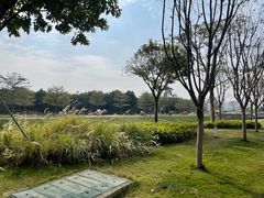 -光明小镇欢乐田园