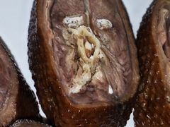 -二八鸥汀老鹅(金涛庄店)