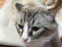 -白兔子密室(长寿路店)