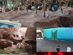 -安徽省地质博物馆