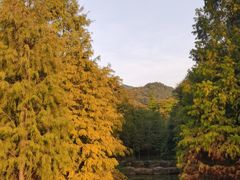 -云溪植物园