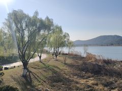 -江阴敔山湖公园