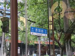 -WHEN PIGS FLY当猪飞
