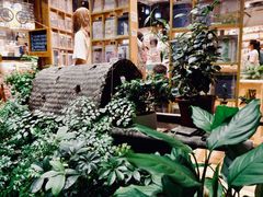 -猫的天空之城概念书店(杭州南宋御街店)