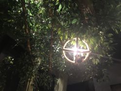 -V-STAR威斯达•高级私人定制