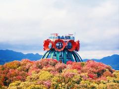 -贵州百里杜鹃风景名胜区