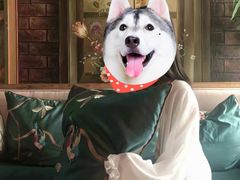 -一棵树咖啡馆(泉乐坊店)
