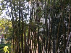 -江门古兜温泉小镇