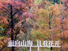-云溪植物园
