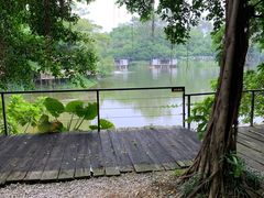 -美丽南方·老木棉匠园·团建烧烤·烤全羊