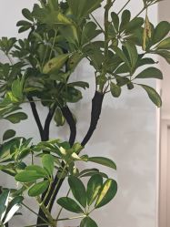-S&G Beauty轻奢皮肤管理中心