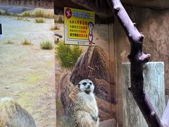 -正佳雨林生态植物园