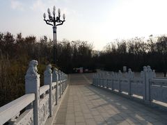-洛阳市隋唐城遗址植物园