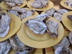 -蚝贝乐鲜蚝烤肉烤榴莲自助(金楠天街店)