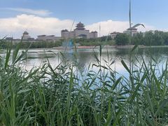 -莲花池公园
