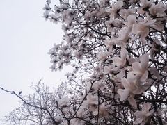 -睦南公园