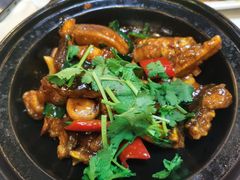 -清新鸡沙田乳鸽店(金融店)