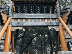 -颐和园