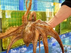 -坛南湾阿强农家乐.海鲜大排档老字号(福州地标美食店)
