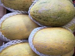 -大连果菜批发市场